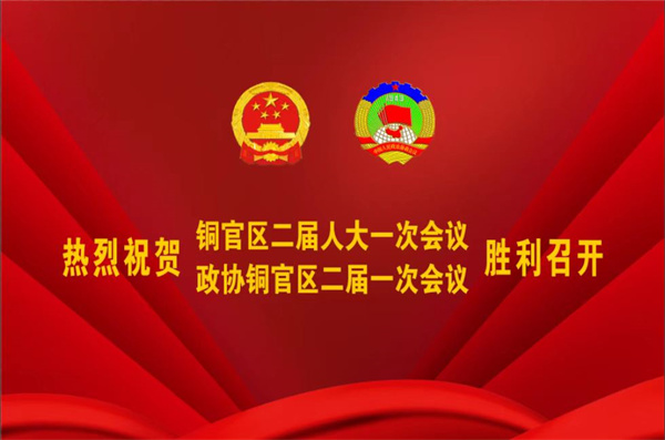 熱烈祝賀公司董事、副總經(jīng)理王從偉被選為 第二屆銅陵市銅官區(qū)政協(xié)常務(wù)委員